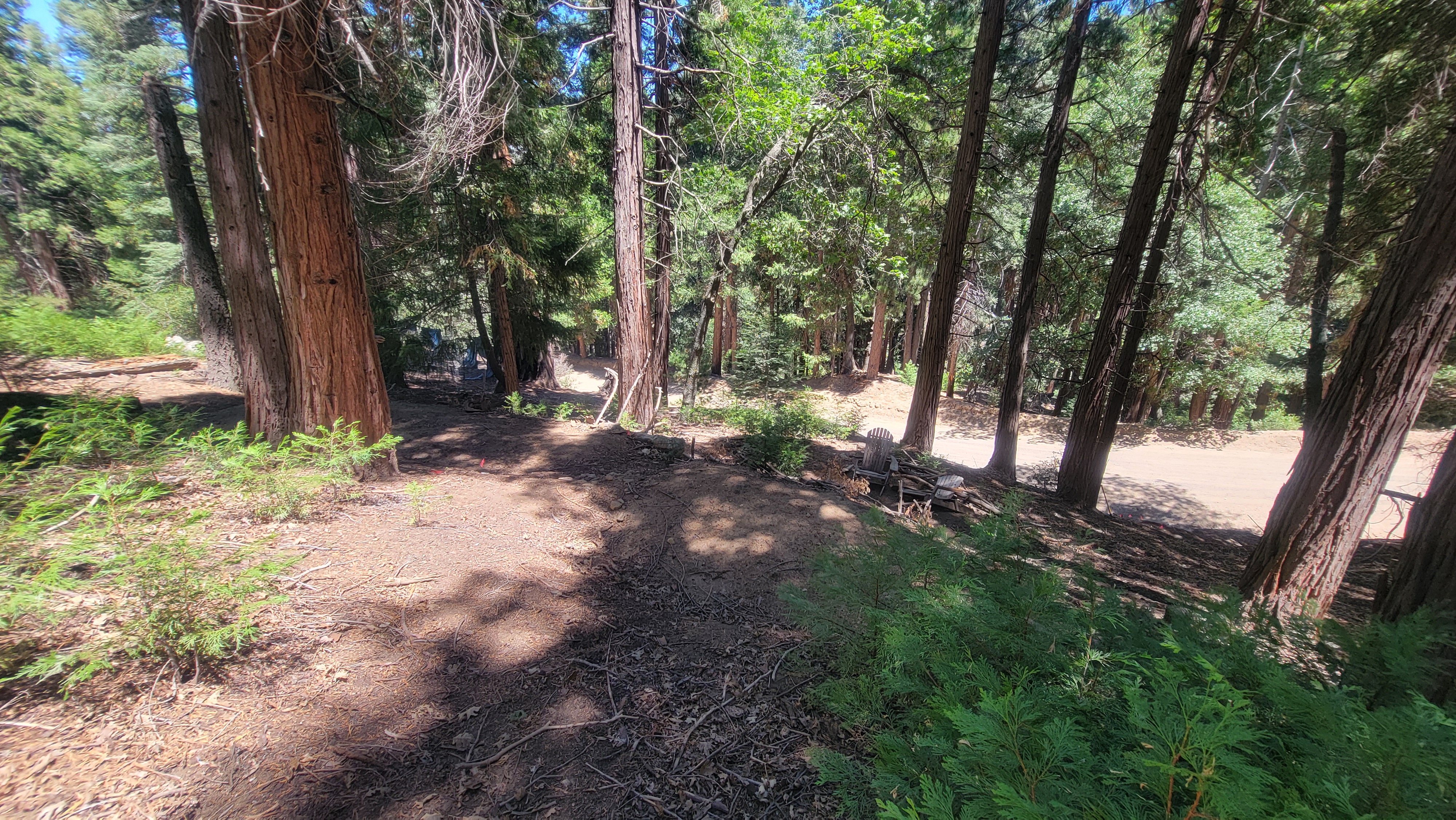 Spring campsite